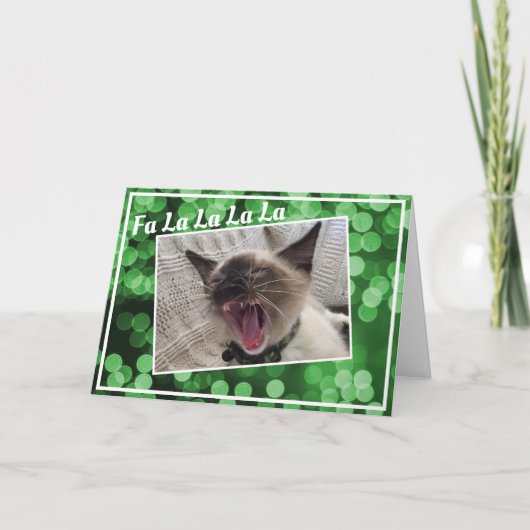 楽しい歌うシャム猫の子猫の写真 クリスマス (正面)