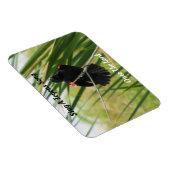 楽しい歌を歌う – バックヤードバード引用文マグネット マグネット (右側)