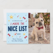 楽しい犬のクリスマス写真 シーズンカード (正面)