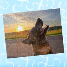 楽しい犬のペット写真、家族でのゲームの夜