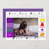 楽しい犬の教育ゲーム 招待状 (正面/裏面)