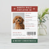 楽しい犬の社員証写真 クリスマス (スタンド正面)