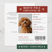 楽しい犬の社員証写真 クリスマス (正面/裏面)