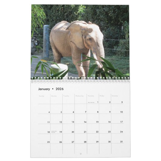 楽しい野生動物の自然 カレンダー (1月 2026)