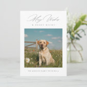 楽しい願いと犬のキス 現代のペット写真 シーズンカード (スタンド正面)