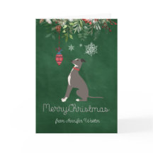 楽しい願いを持つ奇妙なホリデーグレイハウンド子犬