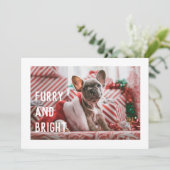 楽しい ファファー＆ブライト 現代ペットパンポイントのホリデーカード 招待状 (スタンド正面)