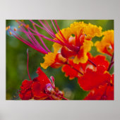 楽しい ポスター (正面)