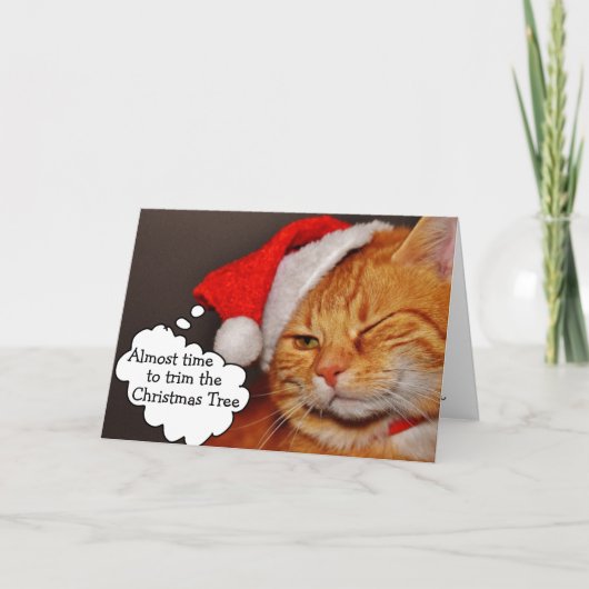 楽しい 可愛い メリークリスマス ホリデー 猫 カード (正面)