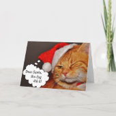楽しい 可愛い メリークリスマス ホリデー 猫 カード (正面)