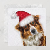 楽しく喜ぶオーストラリアのシェパード・サンタドッグ シーズンカード (正面/裏面)