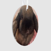 楽しむあなたの木でつるすことをこの小さい人を持っています オーナメント (正面)