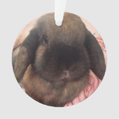 楽しむあなたの木でつるすことをこの小さい人を持っています オーナメント (正面)