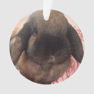楽しむあなたの木でつるすことをこの小さい人を持っています オーナメント