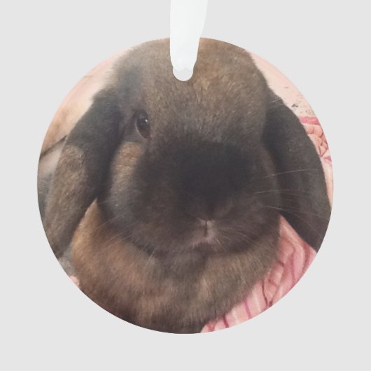 楽しむあなたの木でつるすことをこの小さい人を持っています オーナメント (正面)