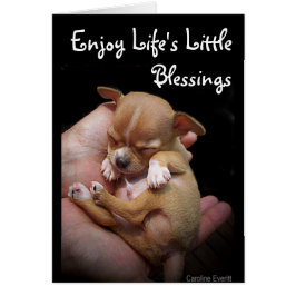 楽しむな生命の小さい恵み