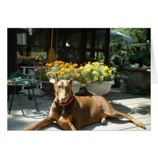 楽しむな生命
