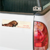 楽しむな生命…乗車アラビアの馬 バンパーステッカー (トラック上)