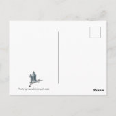 楽しむデイレイクはがき ポストカード (裏面)