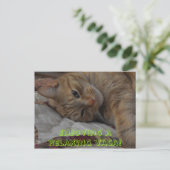 楽しんリラックスでるわ！ ポストカード (スタンド正面)