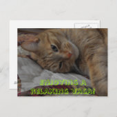 楽しんリラックスでるわ！ ポストカード (正面/裏面)