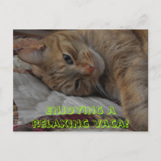 楽しんリラックスでるわ！ ポストカード