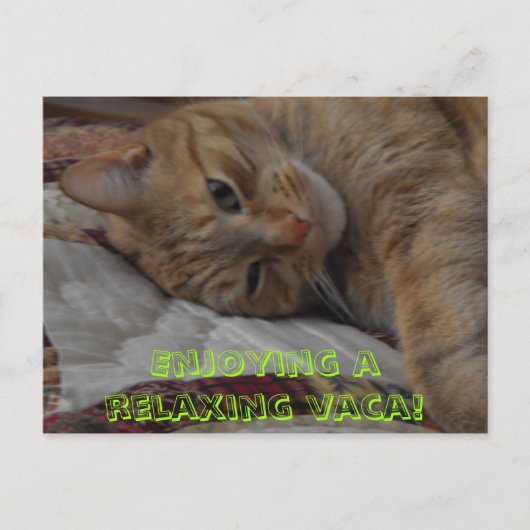 楽しんリラックスでるわ！ ポストカード (正面)