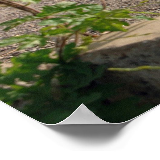 楽加山 ポスター (角)