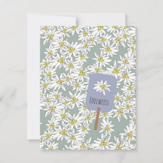 楽器植物学の手描きエーデルワイス音 ノートカード (正面)