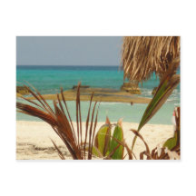 楽園からの挨拶!