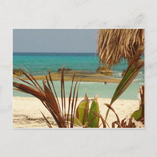 楽園からの挨拶! ポストカード (正面)