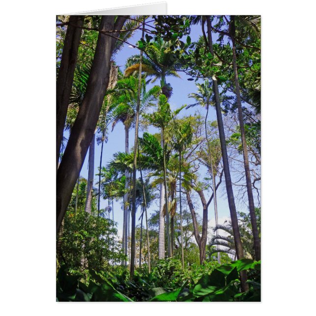 楽園のやし (正面)