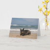 楽園のブタ カード (黄色い花)