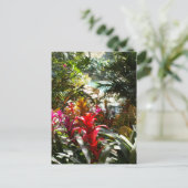 楽園の郵便はがき ポストカード (スタンド正面)