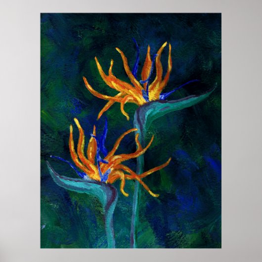 楽園の鳥 ポスター (正面)