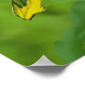 楽園の鳥 ポスター (角)