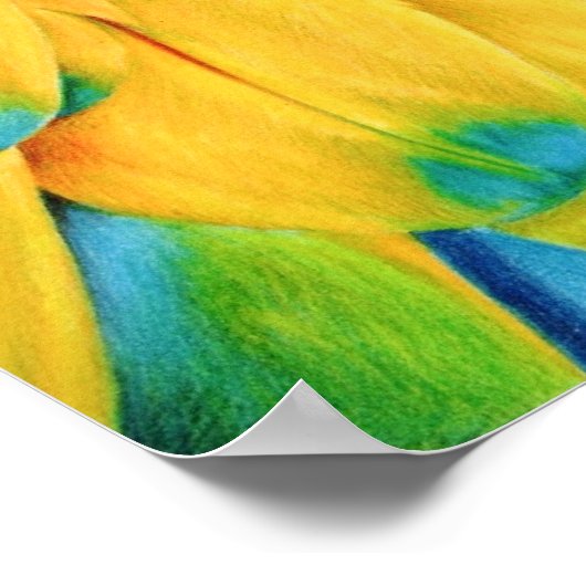 楽園の鳥 ポスター (角)