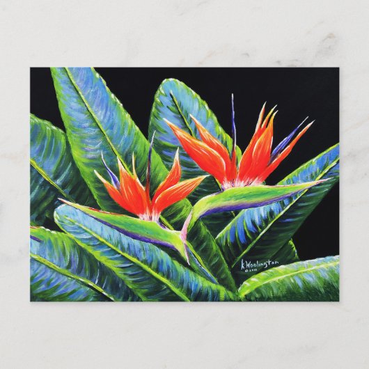 楽園の鳥 ポストカード (正面)