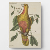 「楽園の鸚鵡」 フォトプラーク (正面)