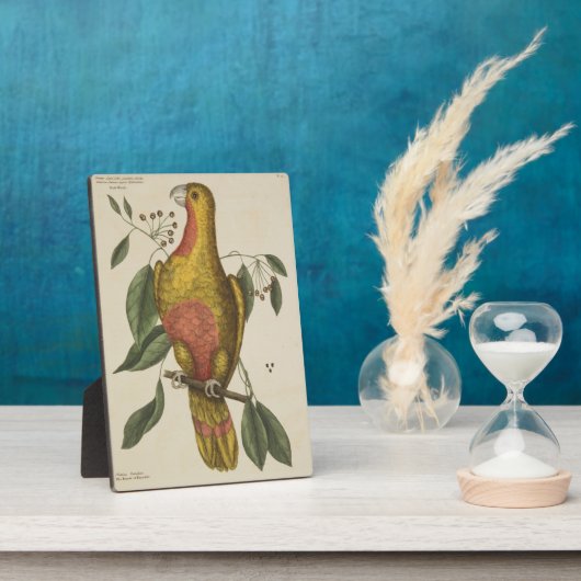 「楽園の鸚鵡」 フォトプラーク (側面)