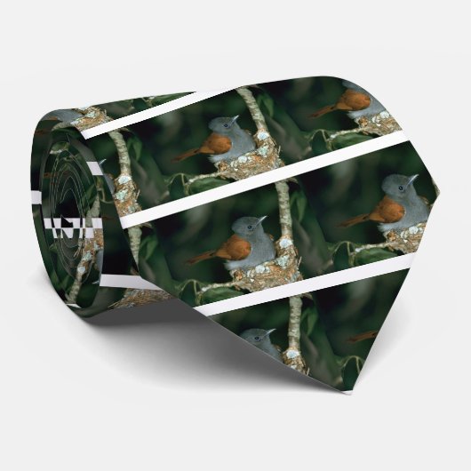 楽園のFlycatcher ネクタイ (ロール)