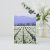 楽園への道 ポストカード (スタンド正面)