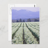 楽園への道 ポストカード (正面/裏面)