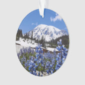 楽園ポイントのレーニア山 オーナメント (正面)