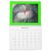 楽園介入 カレンダー (3月 2027)