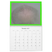 楽園介入 カレンダー (1月 2027)