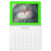 楽園介入 カレンダー (3月 2026)