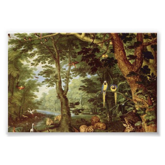 楽園 フォトプリント            (正面)