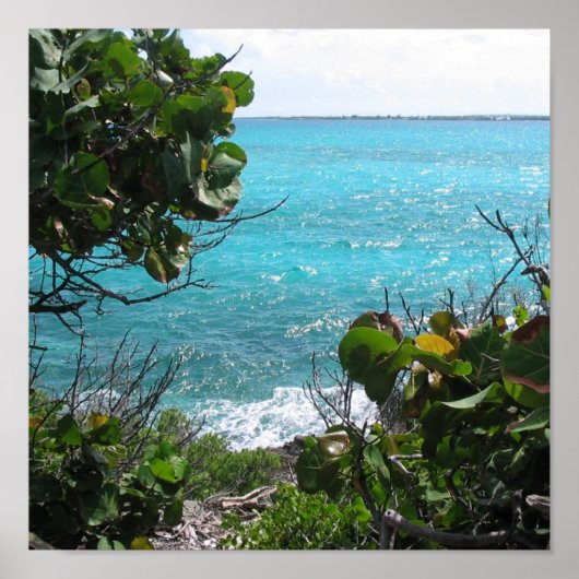 楽園 ポスター (正面)