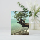 楽園 ポストカード (スタンド正面)